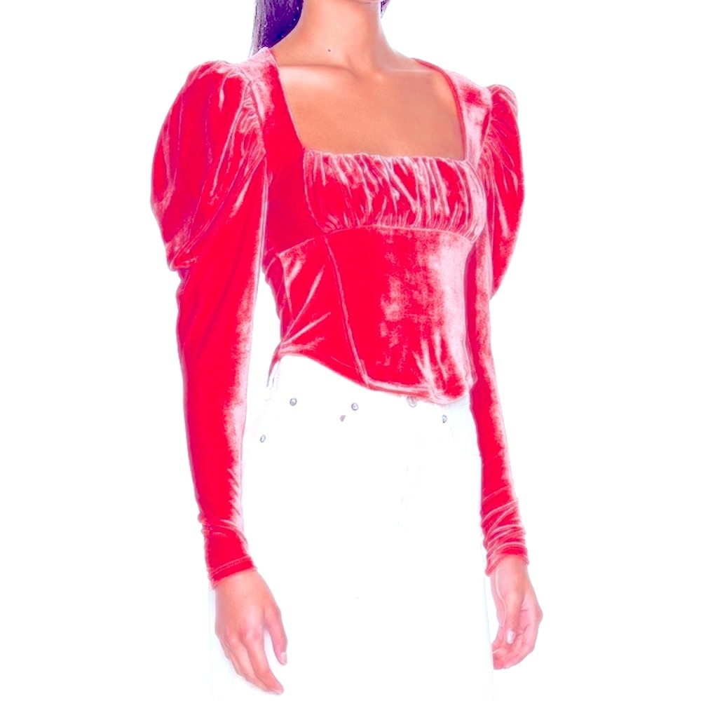 NWT Free People velvet magenta top (size M)